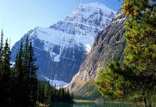 NBA季后赛转会风云：拜仁慕尼黑盯上锋线强援，张本智和或成交易筹码的简单介绍